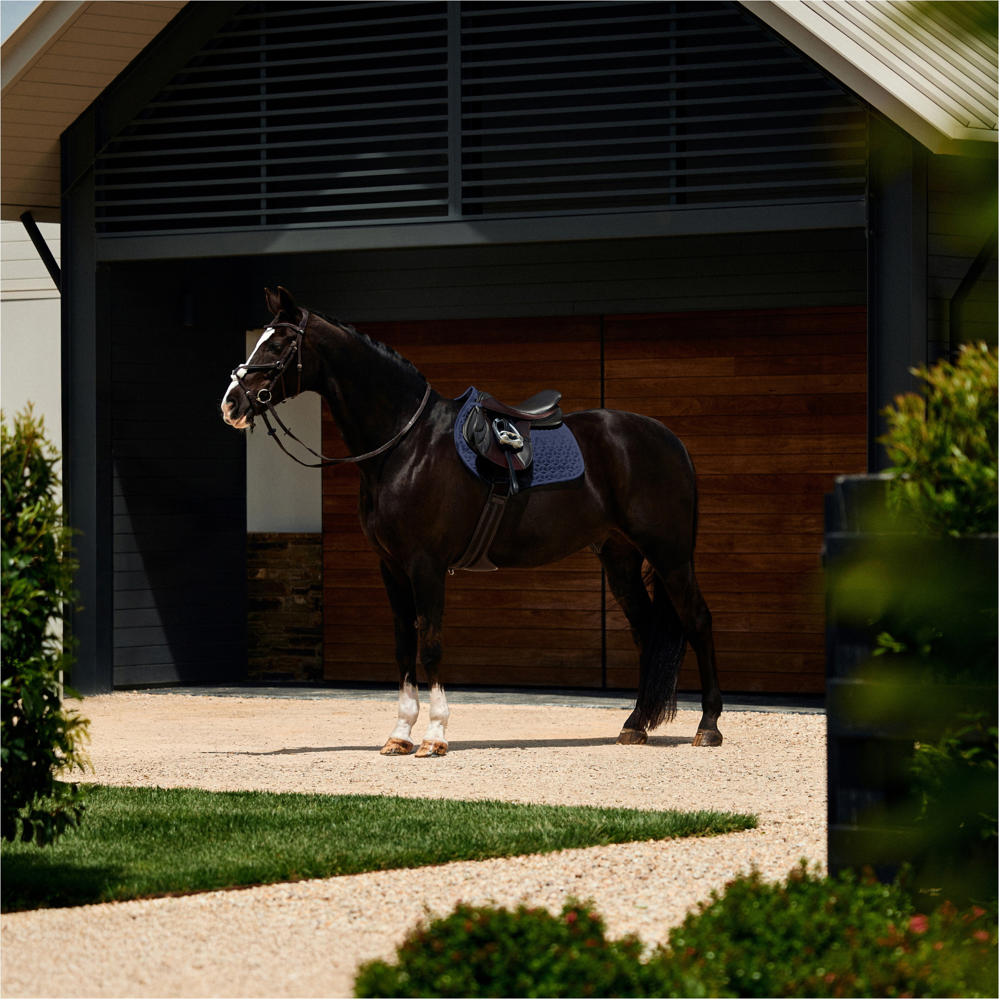 2026 WeatherBeeta Suede Elite Air-Tec Jump Shaped Saddle Pad 1030347 - Navy
